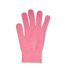 Ladies/Womens Winter Magic Gloves With Wool () - UTGL472
