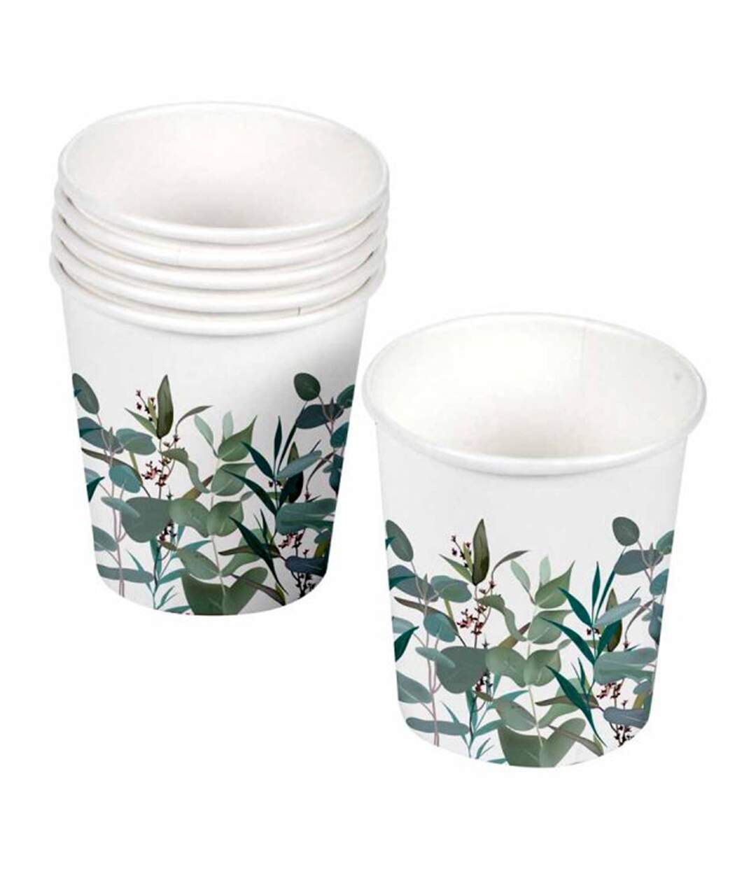 Lot de 10 Gobelets en Carton Eucalyptus 23cl Blanc-1