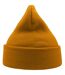 Atlantis Unisex Adult Wind Recycled Cuffed Beanie (Mustard) - UTAB617
