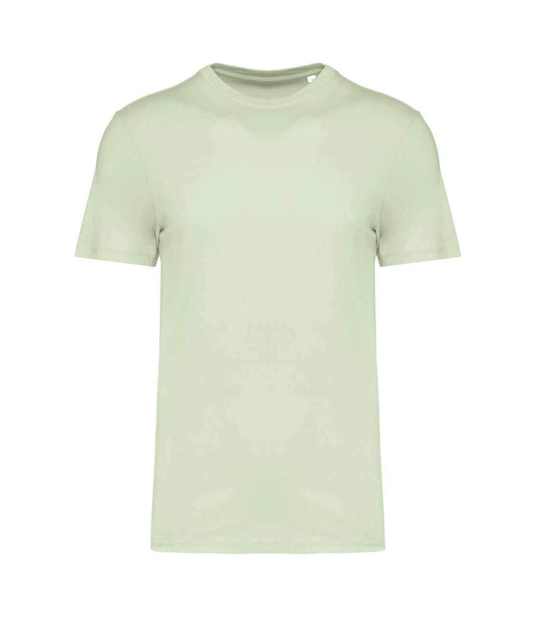 Unisex adult t-shirt celadon green Native Spirit-1