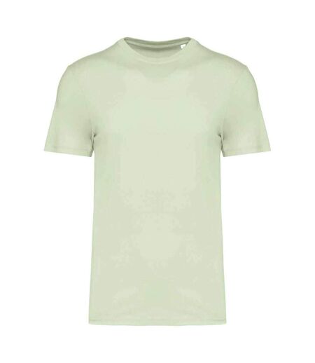 Unisex adult t-shirt celadon green Native Spirit