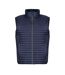 Veste Sans Manches Homme Bleu Marine Regatta Professional-2
