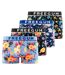 Lot de 4 boxers homme en coton Signature Sergio Freegun-1