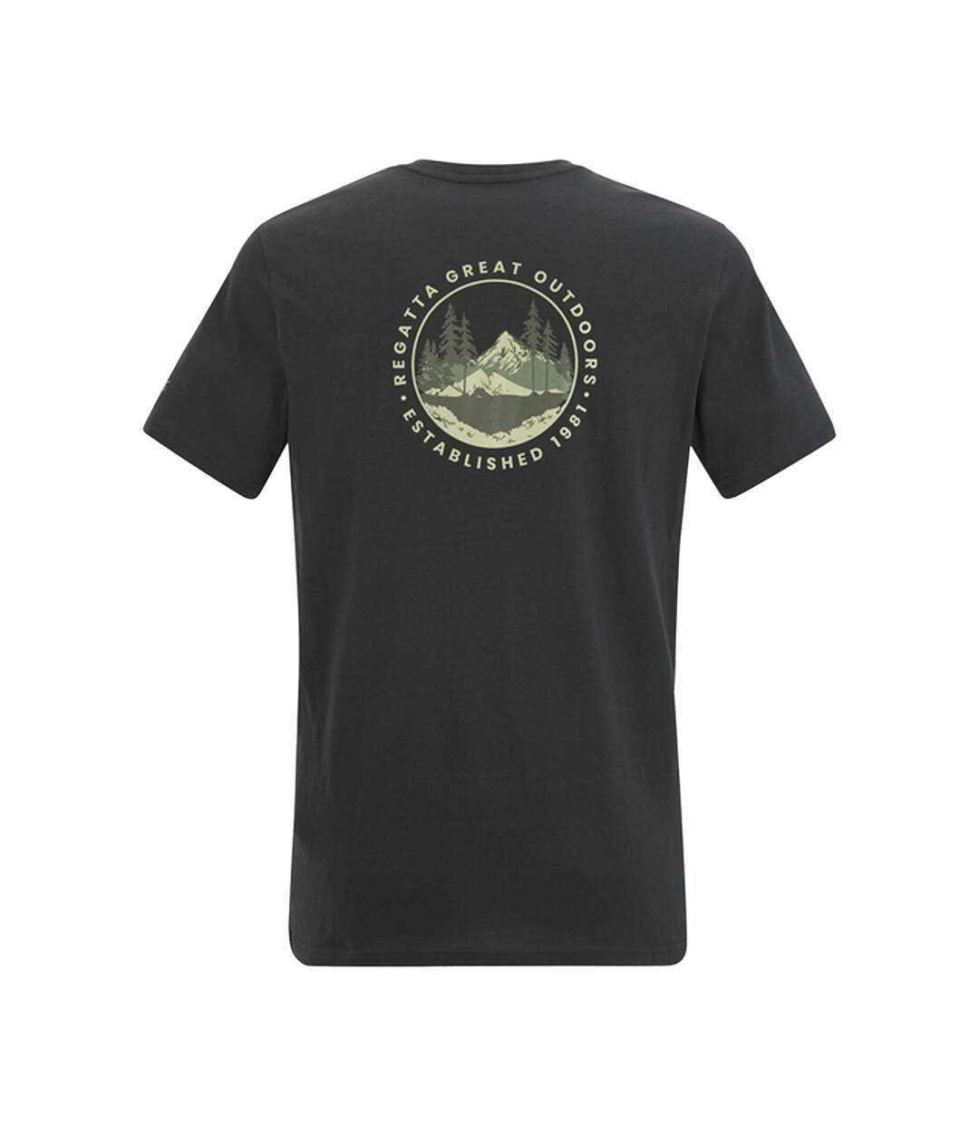 Mens Breezed Circle Mountain T-shirt Ash Regatta-3