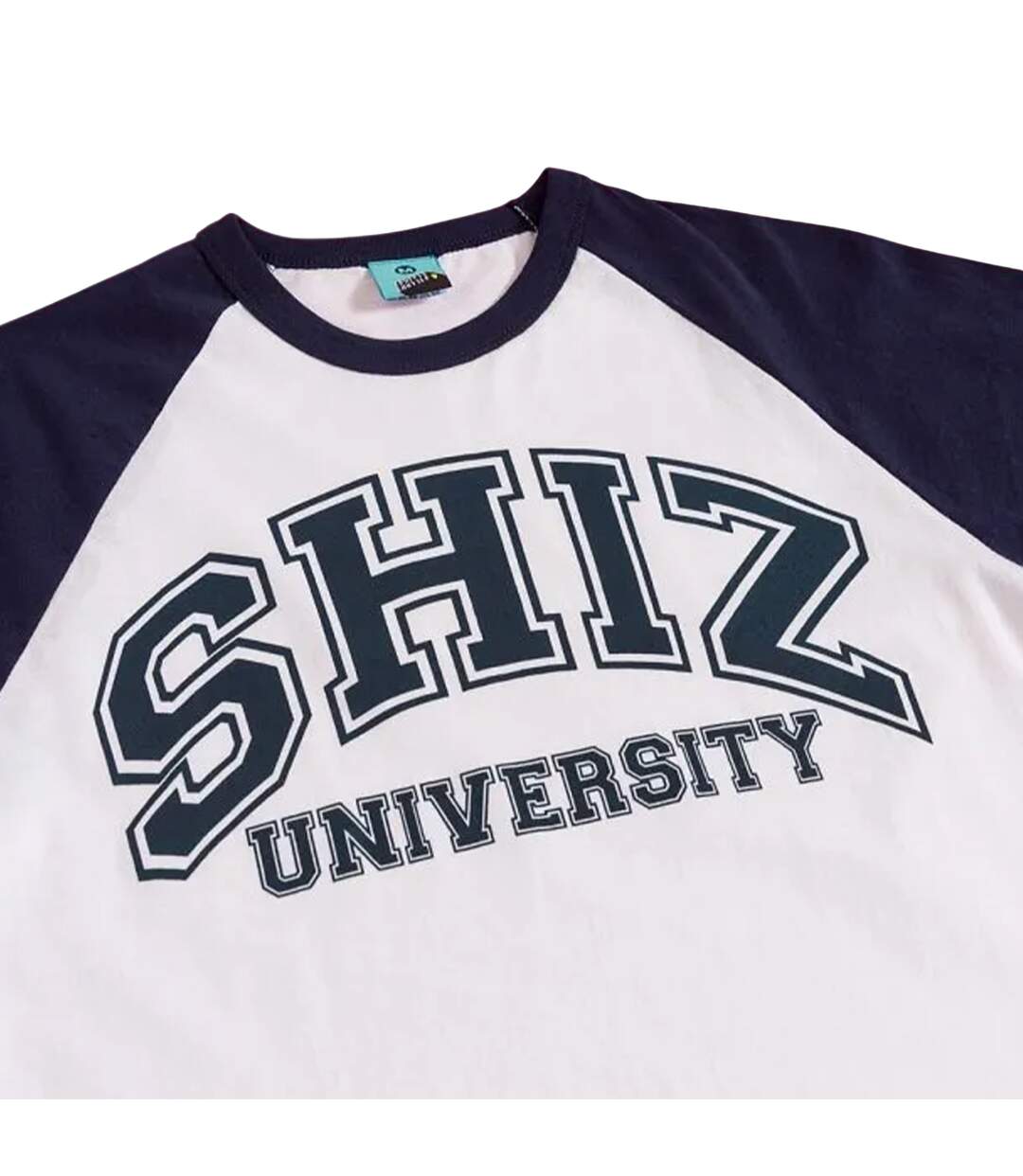 T-shirt Shiz University Adulte Gris Wicked-3