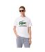 T-shirt Motif/style Imprimé Crocodile Homme Blanc Lacoste-4