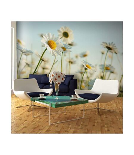Papier Peint Marguerites Prairie de Printemps II 270x450cm