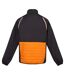 Regatta Mens Steren Hybrid Soft Shell Jacket (Orange Pepper/Ash) - UTRG9163