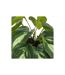 Plante Artificielle en Pot Soleya 30cm Bleu-3