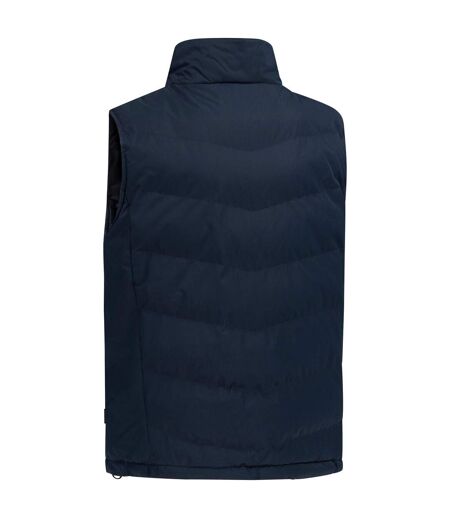 Doudoune Sans Manches Brecker Homme Bleu Marine Trespass