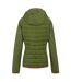 Womens/ladies andreson viii hybrid jacket nephrite green/peach bloom Regatta-2