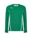 Mens King Long-sleeved Jersey Green Puma-1