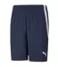 Short Teamliga Homme Bleu Marine Puma-1