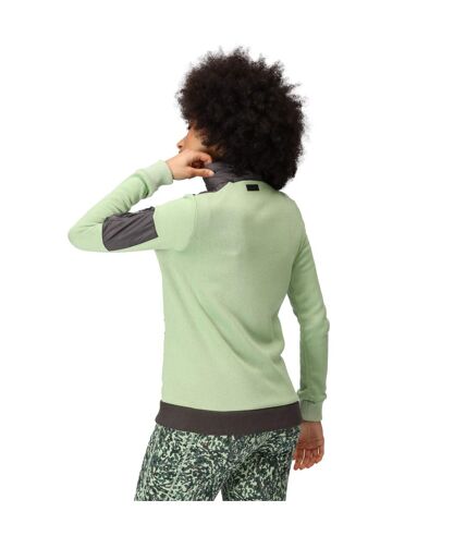 Regatta Womens/Ladies Colliston Colour Block Baffled Fleece Jacket (Seal Grey/Quiet Green) - UTRG9028