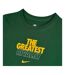 Womens/ladies Tour 2026 Springboks T-shirt Green Nike-3