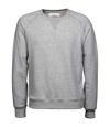 Tee Jays Mens Urban Raglan Sweatshirt (Heather Gray) - UTPC3429