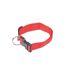 Collier Réglable pour Chien Essentiel 70cm Rouge