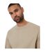 Mens Crew Neck Regular Long-sleeved Sweatshirt New Stone Threadbare-4