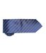 Cravate Rayée Homme Taille Unique Bleu Marine Bleu Premier-2