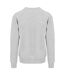Mens Graduate Heavyweight Sweatshirt Heather Grey Awdis-2