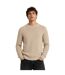 Mens Relaxed Fit Jumper Brown Replay-3