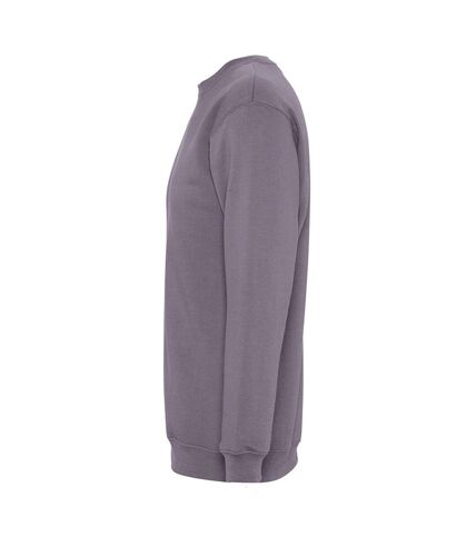 SOLS Unisex Supreme Sweatshirt (Gray) - UTPC2837