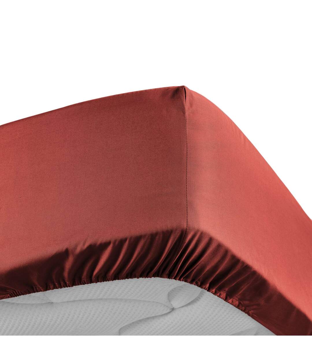 Drap Housse Percaline 180x200cm Terracotta-1