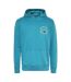 Sweat À Capuche Motif/style Logo Homme Bleu Sarcelle Tommy Hilfiger-2