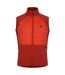 Veste Sans Manches Descending Homme Cannelle Rouge Toscan Dare 2B-1