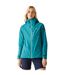 Womens/ladies Birchdale Ii Waterproof Jacket Exotic Plume Icy Morn Regatta-1