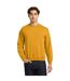 Sweat Adulte Jaune Or Gildan-1