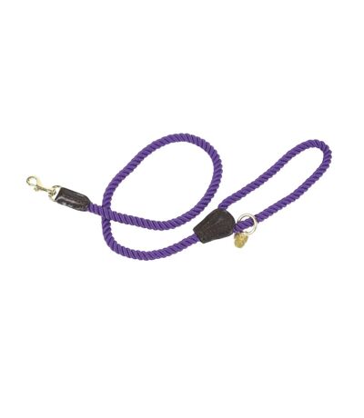 Twisted dog lead one size purple Digby & Fox