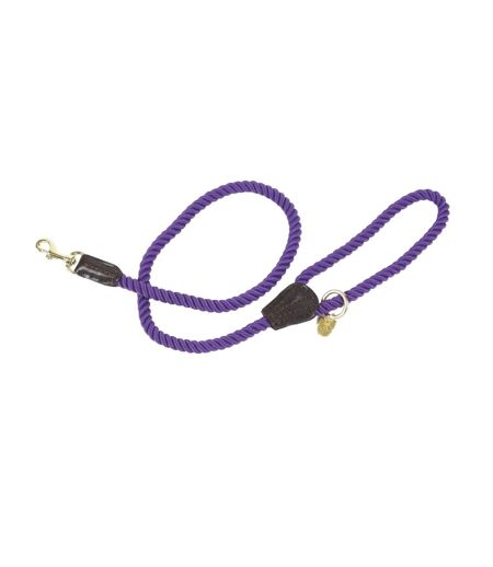 Twisted dog lead one size purple Digby & Fox