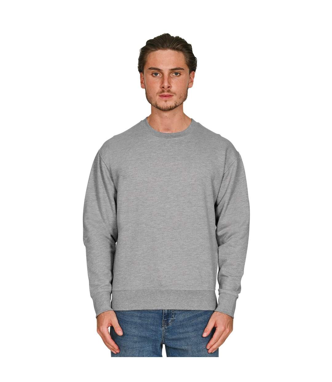 Mens Core Combed Cotton Regular Sweatshirt Ash Grey Casual Classics-2