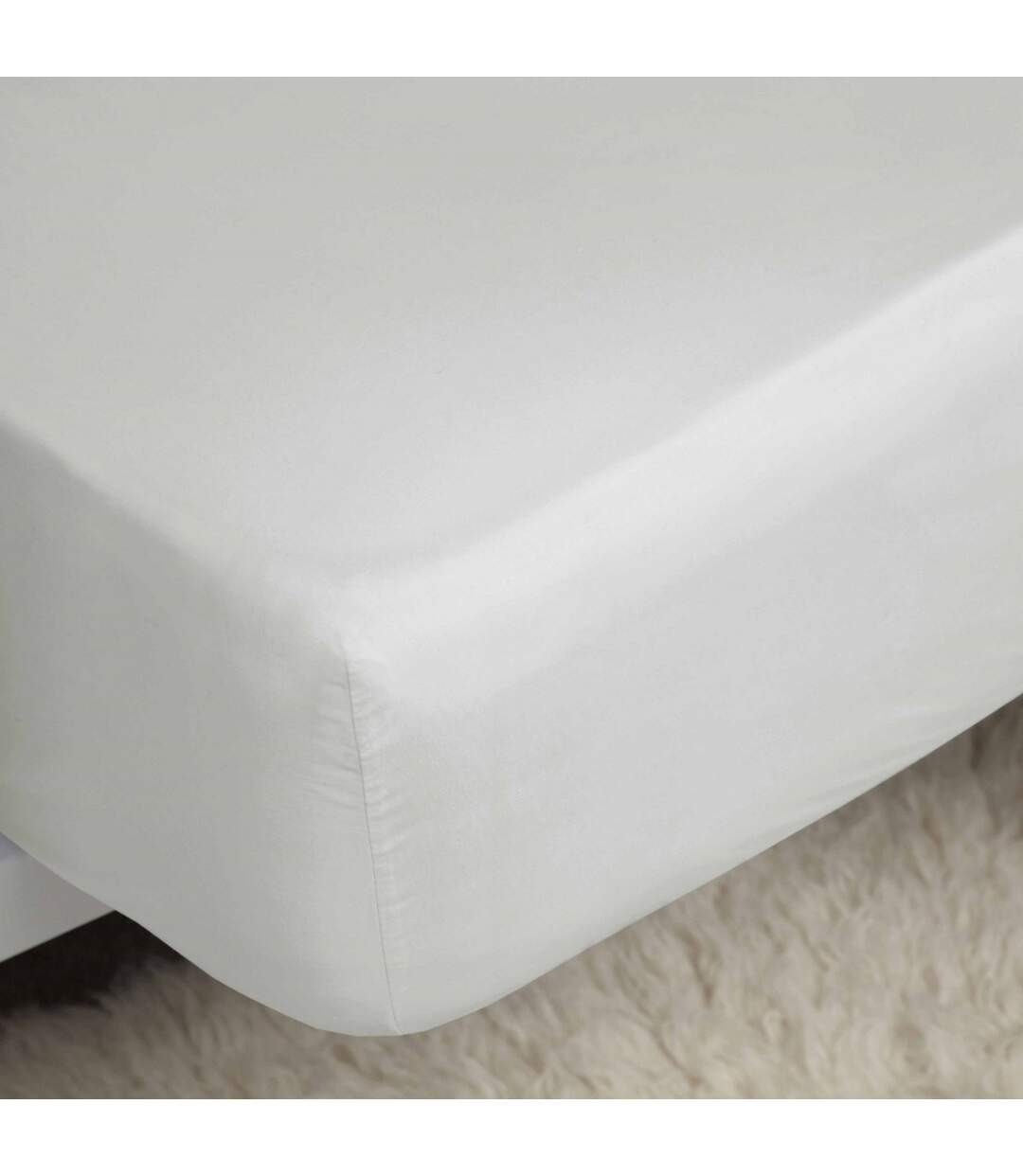 Belledorm Premium Blend 500 Thread Count Fitted Sheet (Ivory)