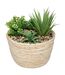 Plante Artificielle Composition 18cm Naturel & Vert-1