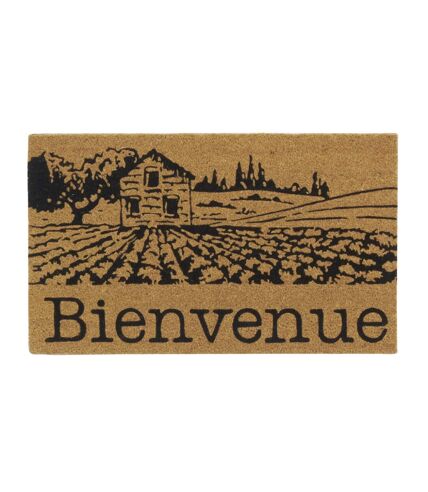 Paillasson coco intérieur extérieur 75 x 45 cm Village de Provence bienvenue