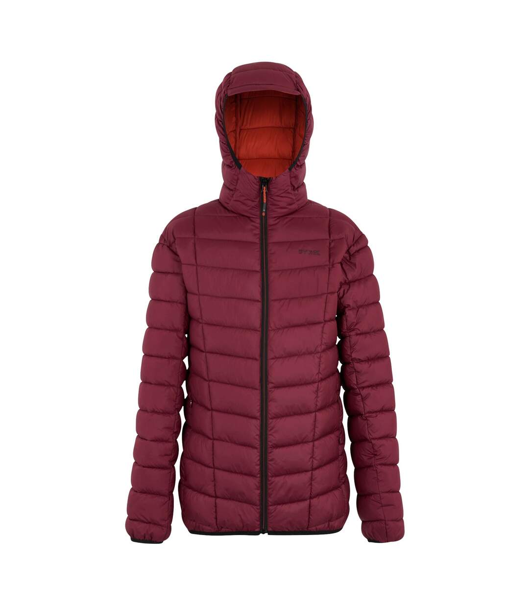 Doudoune Matelassée Asper Homme Pourpre Foncé Regatta-2