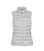Stormtech Womens/Ladies Basecamp Thermal Quilted Gilet (Titanium)