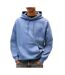 Sweat bleu homme tommy hilfiger tjm reg s flags-1