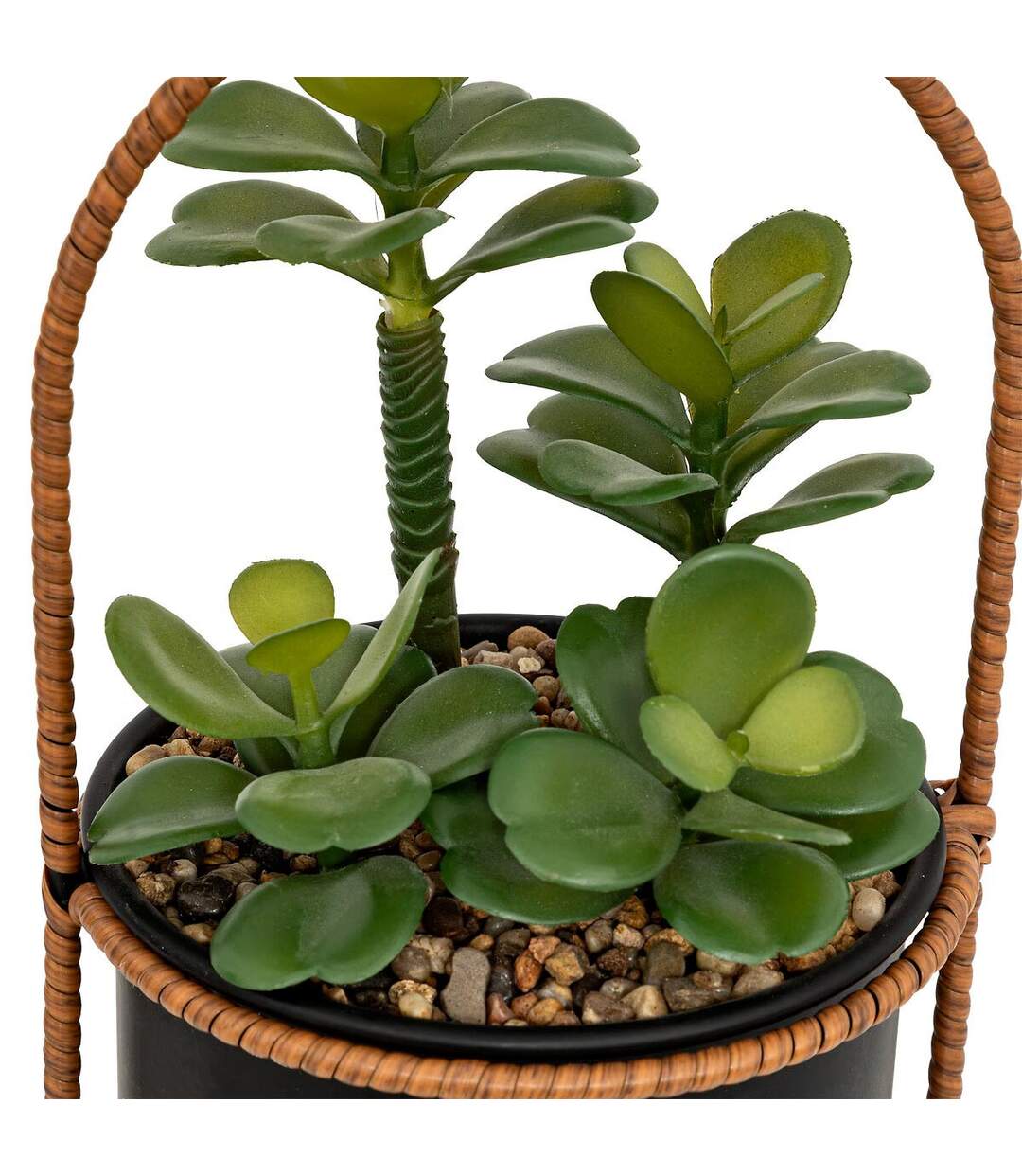 Plante Artificielle Suspendue Tyla 31cm Noir-2