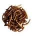 Natures Grub Dried Mealworms (May Vary) (200g) - UTBZ341