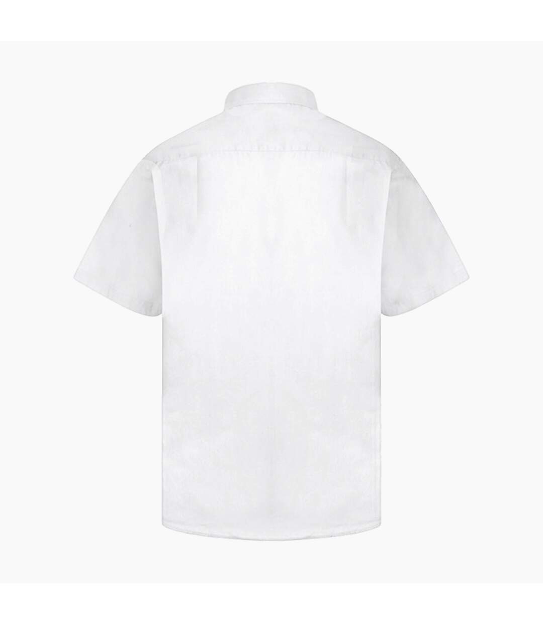 Absolute Apparel Mens Short Sleeved Classic Poplin Shirt (White) - UTAB118-2