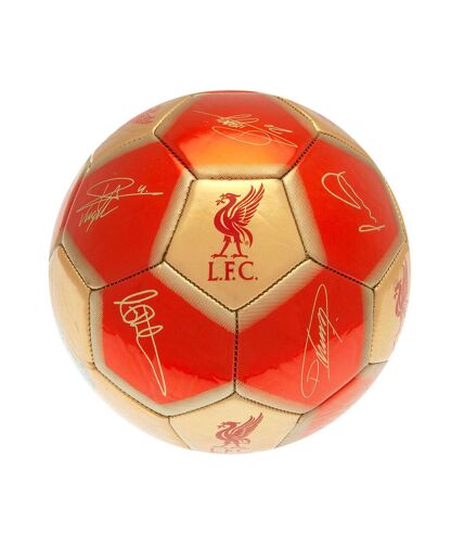 Liverpool FC - Ballon de foot YNWA (Rouge / Doré) (Taille 1) - UTTA11400