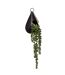 Plante Artificielle Suspendue Tropique 50cm Noir-1
