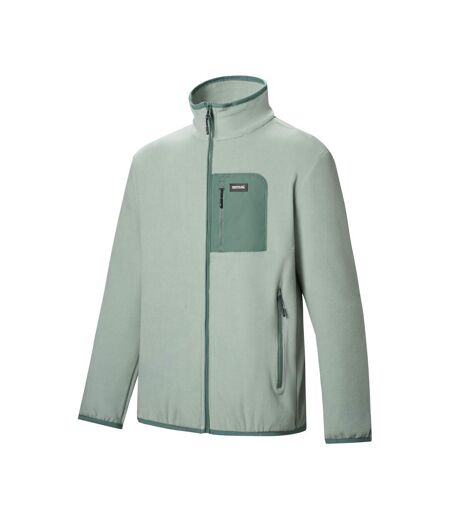 Veste Polaire À Col Montant Motif/style Détail Contrasté Frankie Homme Vert Pâle Vert Gris Foncé Regatta
