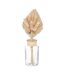 Composition de Fleurs Séchées Seav 28cm Beige-1