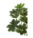 Plante Artificielle en Pot Pachira 157cm Vert-2