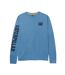 Caterpillar - T-shirt TRADEMARK BANNER - Homme (Bleu sarcelle) - UTFS10813