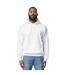 Sweat À Capuche Motif/style Uni Adulte Blanc Gildan-1